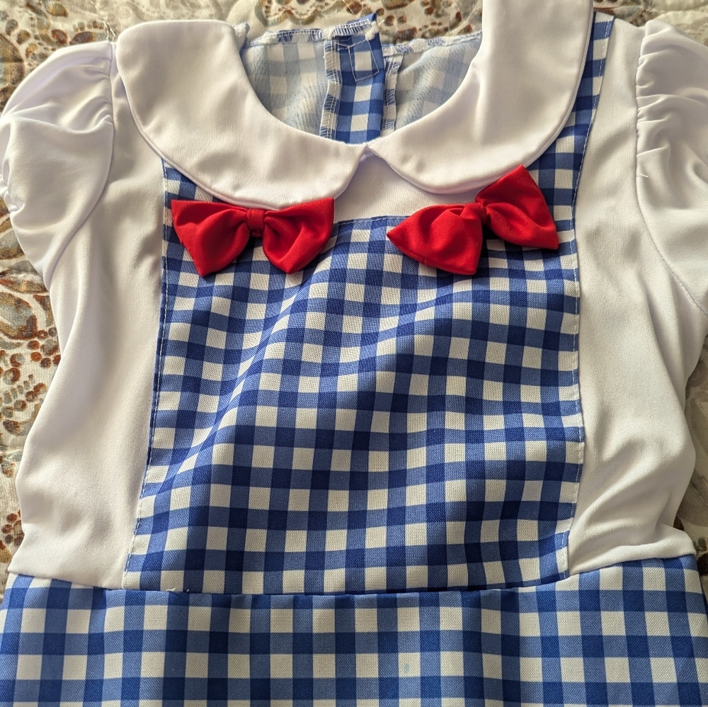 Girls Dorothy wizard of Oz costume